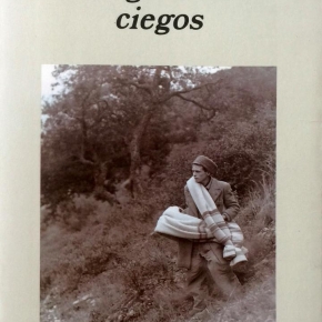Resumen: Los girasoles ciegos (Alberto Méndez)